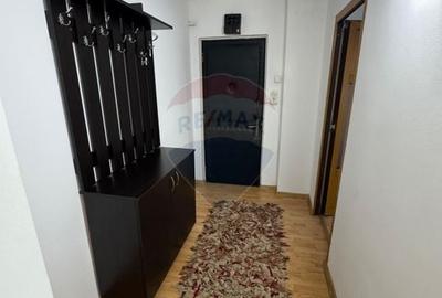 Apartament cu 2 camere semidecomandat, mobilat în Brazda lui Novac - 5