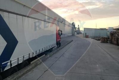 Spațiu industrial, de 16,000 mp, în Vest - 9