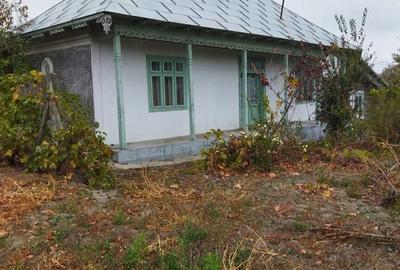Casă cu Teren 1700 Mp în Garvăn