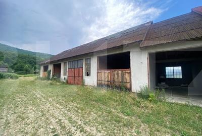 Proprietate pentru turism si agrement, 7.000 mp teren - Ghelinta - 5