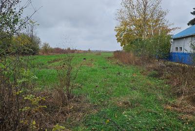 Butimanu (Decindea) Jud. Dambovita, teren intravilan si extravilan - 3