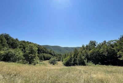 Teren Extravilan in mijlocul naturii. - 13