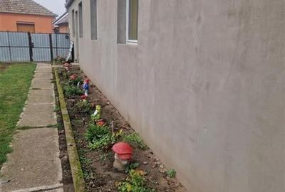 RECO, Doua case la pret de una, in exclusivitate, Zona Tarcea, Bihor - 17