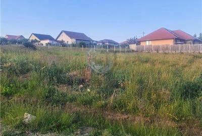 Teren intravilan Saldabagiu de Munte 1100m - 2