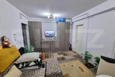 Garsonieră nedecomandată, mobilată în Vișani - 4