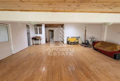 Casa ideala pentru birouri/alte activitati Mehala - 15