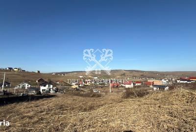 Spațiu comercial, în Dezmir - 3