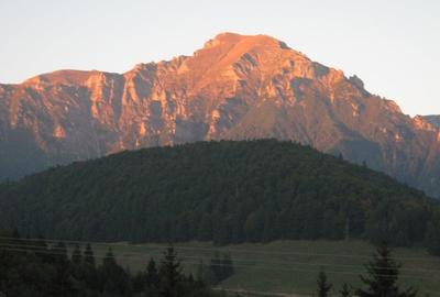 Teren Construcții intravilan de 10650 mp, în Caragiale - 1