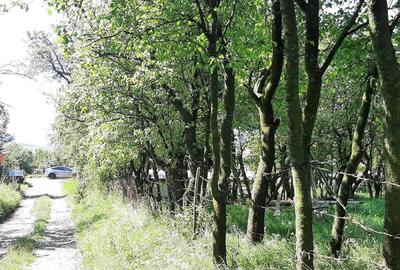 Teren Construcții intravilan de 1500 mp, în Rediu - 2