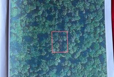 Vanzare teren Voluntari | padure | 1124mp | drum de acces | posibilitate constru - 2