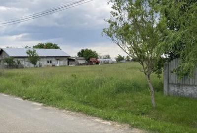 Spațiu comercial, în Bâldana - 5