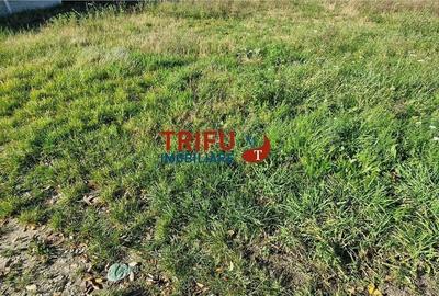 Teren Intravilan zona Orizont - 500mp - 5