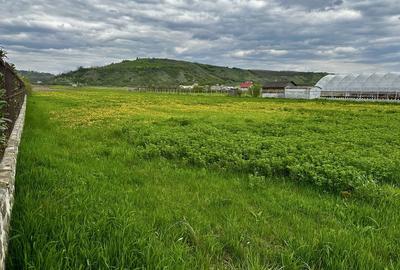 Teren de 4000 mp, în Oituz - 1