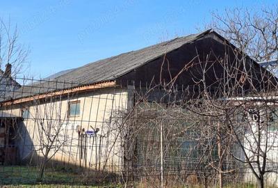 Vand la 300 m fata de dunare in pojejena Vand la 300 m fata de dunare in pojejena - 2