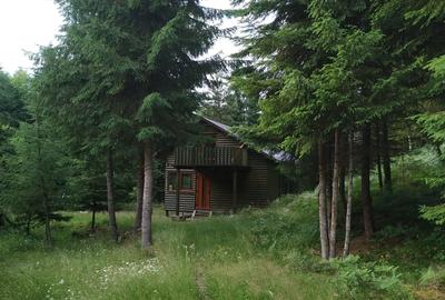 Spațiu comercial, în Călățele - 3