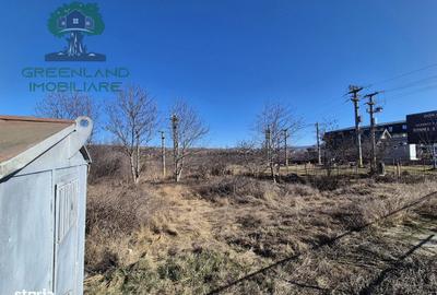 Spațiu comercial, în Lunca Cetățuii