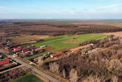 Teren Construcții intravilan de 70291 mp, în Micșunești-Moară - 7