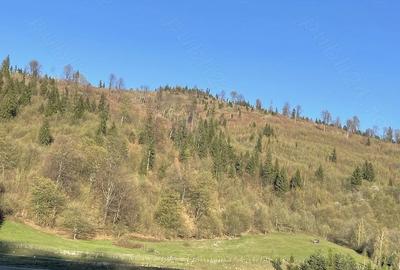 Teren de 6000 mp, în Central - 5