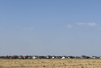 Teren agricol extravilan de 10000 mp, în Dragomirești-Vale - 5
