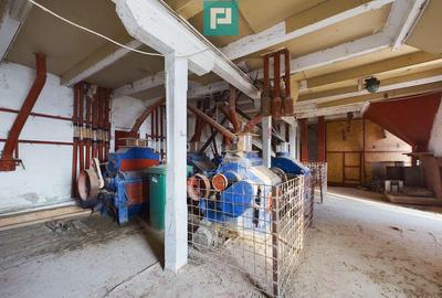 Casă cu 7 camere cu Teren 150 Mp în Periam - 1