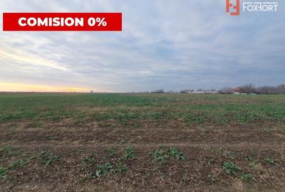 Comision 0% Teren extravilan agricol 21,32 ha sau intravilan cu PUZ aprobat - 22