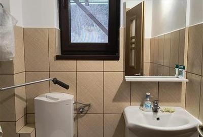 Oportunitate! Casa deosebita cu 2980 mp teren in Vulcan, Brasov - 38