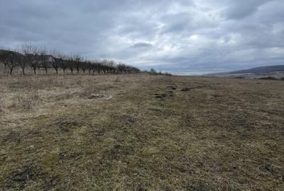 OPORTUNITATE DE INVESTITIE! Teren intravilan, 4000 mp, Chinteni