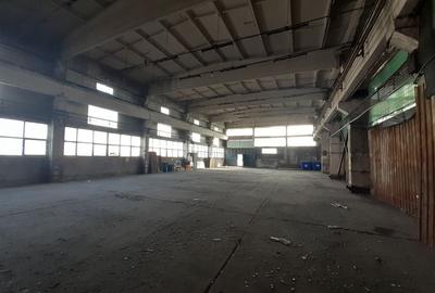 Hala 430 mp in zona Fizicienilor + platforme betonate sau birouri - 2