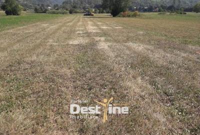 Spațiu comercial, în Pângărați - 2