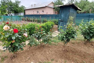 Casă cu 3 camere în Tărtășești - 10