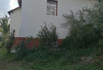 Casă cu 3 camere cu Teren 900 Mp în Sânmihaiu Almașului - 9