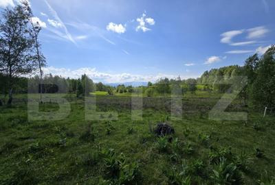 Teren extravilan 13103 mp in Dealu Mare! Oportunitate invest - 2