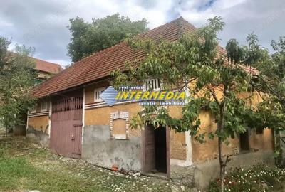Casa in Cricau cu 3 camere de vanzare teren de 1300 mp - 12