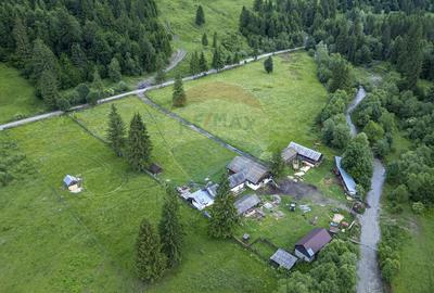 Proprietate specială, de 680 mp, în Coșnea - 1