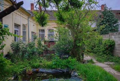 Spatiu ultracentral in Oradea, 171 mp, clinica sau birouri, de vanzare - 21