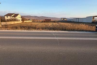 Teren de 1000 mp, în Buhoci - 5