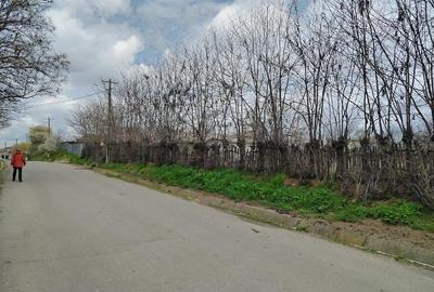 Teren de 1801 mp, în Ijdileni