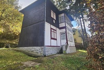 Spațiu comercial, de 350 mp, în Sighișoara - 4