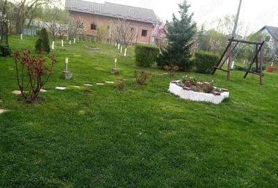 Casă cu Teren 1989 Mp în Ciritei - 3