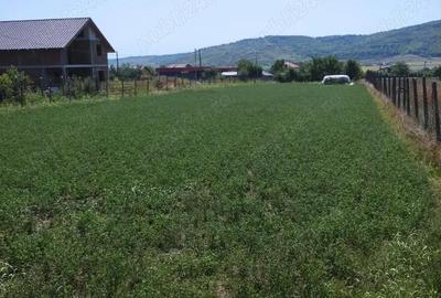 Teren de 1936 mp, în Central - 2