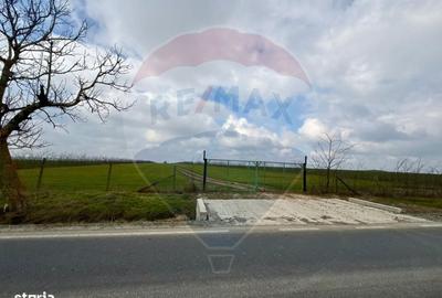 Spațiu comercial, în Săcele - 7