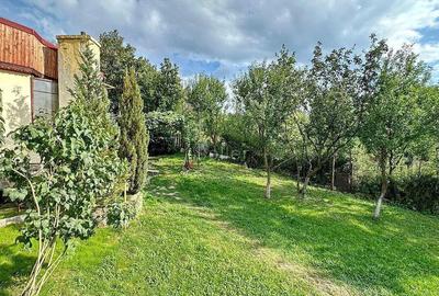 Priveliste Deosebita Zona Linistita - 1