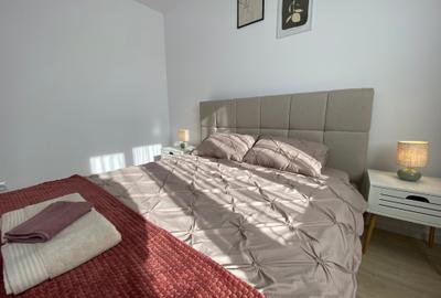 Drumul taberei ,Valea Rosie,renovat nou,mobila,electrocasnice noi - 8