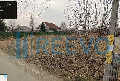 Teren intravilan 1.600 mp Lilieci - 1