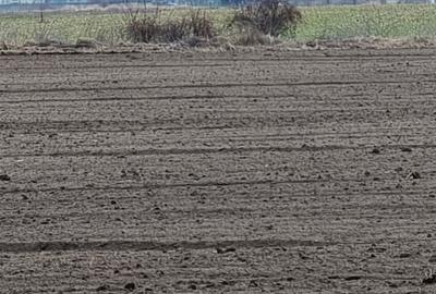 Teren intravilan -Ostratu- - 4