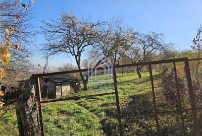 Teren de 22000 mp, în Central