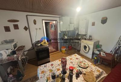 Casa traditionala de vanzare in comuna Podoleni, jud. Neamt - 9