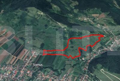 Teren de 122400 mp, în Șoimuș
