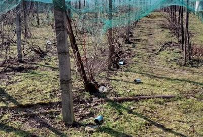 Casă cu 5 camere cu Teren 3000 Mp în Salcia - 2