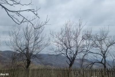 Teren în Schiulești - 15